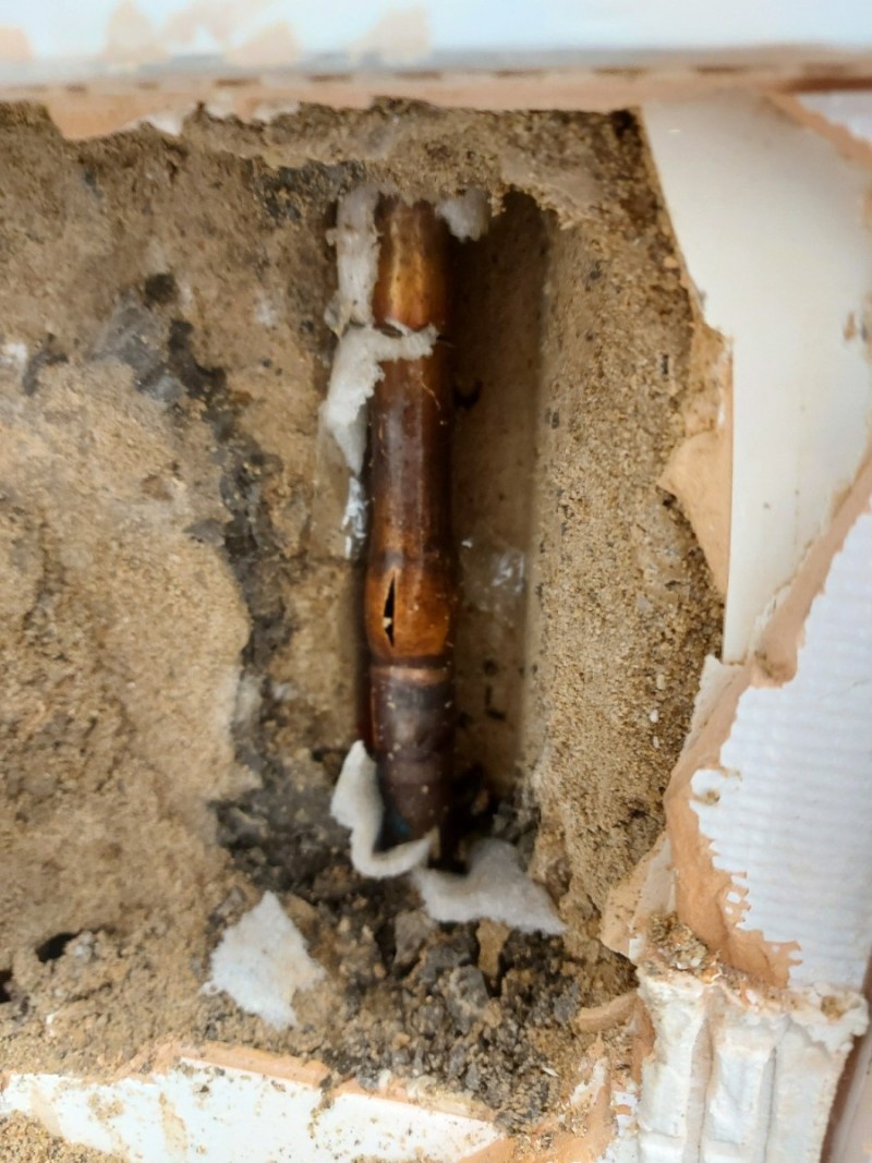 2000769928_FmNPqhXL_e1d4b5f299474682d53e5fa82fcdd5ea9956c3ff.jpg 이미지크게보기