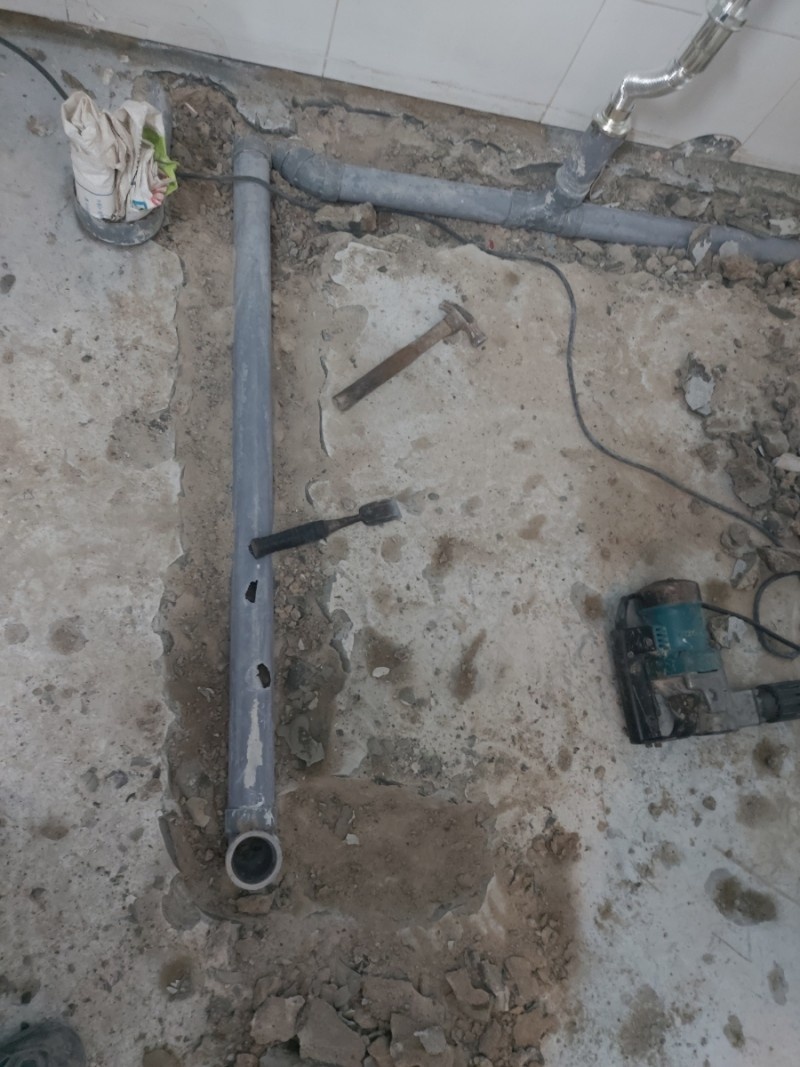 2000769928_y59DoVq3_230986065813c88272c1c669f5b720aea46553ad.jpg 이미지크게보기